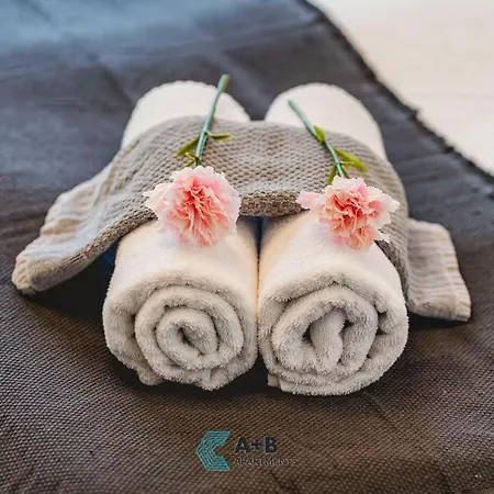 Active Typu Superior